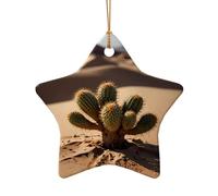 WZYCWB desert plant patterned Star Shape ceramic pendant, perfect for decorating your home Christmas tree for winter parties