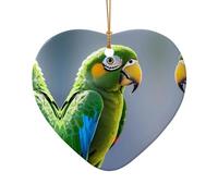 WZYCWB feathers patterned Heart Shape ceramic pendant, perfect for decorating your home Christmas tree for winter parties