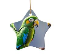 WZYCWB feathers patterned Star Shape ceramic pendant, perfect for decorating your home Christmas tree for winter parties
