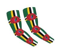 WZYCWB Flag of the Commonwealth of Dominica Printed ice silk sleeves - summer thin and breathable arm guards outdoor cycling and fishing sleeves