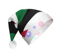 WZYCWB Flag of the State of Palestine Adult New Year Christmas hat, with LED lights, unisex plush Christmas hat, New Year Christmas party gift