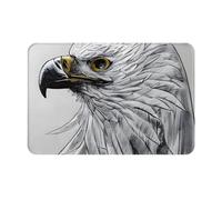 WZYCWB Floor-Absorbing Doormat, Size 16Ã-24 inches, Effectively Protects The Living Room, Bathroom and Front Door from Cleaning Sketching an Eagle Pattern