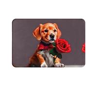 WZYCWB Floor-Absorbing Doormat, Size 16Ã-24 inches, Effectively Protects The Living Room, Bathroom and Front Door from Cleaning Gentleman-Like Dog Pattern