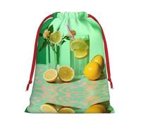WZYCWB Flowers and Lemonade S Printed Gift Bags - Perfect for Weddings, Christmas, Birthdays, and Parties - S - L
