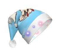 WZYCWB Flying Seagulls Printed Santa hat with LED lights, perfect for Christmas parties, stage performances, and holiday parties.