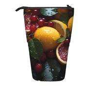 WZYCWB Fresh Grapefruit Lemon Retractable Storage Container for Pen Holders, Makeup Brush Holders, or Coin Drawstring Bags.