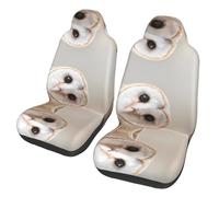 WZYCWB Funny Owl Car Seat Protectors (2 Pack) - Vehicle Seat Covers for Sedan, SUV, Truck & Van, Interior Protection