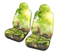 WZYCWB Funny Rabbits Car Seat Protectors (2 Pack), Auto Seat Covers Guard Sedan, SUV, Truck, Van, Bus & Ferry Seats