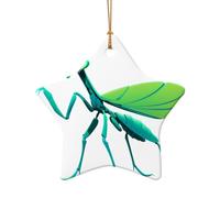 WZYCWB Glow-in-Dark Mantis patterned Star Shape ceramic pendant, perfect for decorating your home Christmas tree for winter parties