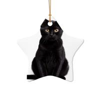 WZYCWB Good little black cat patterned Star Shape ceramic pendant, perfect for decorating your home Christmas tree for winter parties