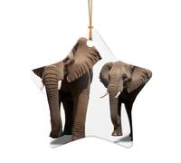 WZYCWB Huge elephant patterned Star Shape ceramic pendant, perfect for decorating your home Christmas tree for winter parties