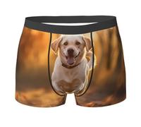WZYCWB Labrador Printed Men's Boxer Briefs, Polyester Elastic Boxer Briefs - Multiple Sizes, Black, Large