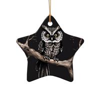 WZYCWB Late Night Owl patterned Star Shape ceramic pendant, perfect for decorating your home Christmas tree for winter parties