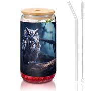 WZYCWB Late Night Owl Printed bamboo lid glass for hot and cold iced coffee, milk tea, and beer. A stylish water cup.