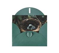 WZYCWB Little bird nest Printed Dark Green Pearlescent Paper Holiday Card with Envelope. Suitable for birthday wishes wedding congratulations and condolences.