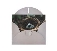 WZYCWB Little bird nest Printed Gray Pearlescent Paper Holiday Card with Envelope. Suitable for birthday wishes wedding congratulations and condolences.