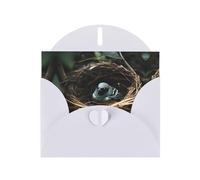 WZYCWB Little bird nest Printed White Pearlescent Paper Holiday Card with Envelope. Suitable for birthday wishes wedding congratulations and condolences.