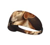 WZYCWB Lovely Labrador Printed sports headband, sports sweatband, moisture wicking
