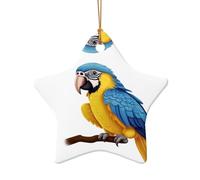 WZYCWB Parrot patterned Star Shape ceramic pendant, perfect for decorating your home Christmas tree for winter parties