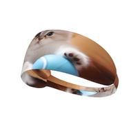 WZYCWB Persian cat playing with a ball Printed sports headband, sports sweatband, moisture wicking