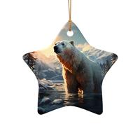 WZYCWB Polar bear in winter patterned Star Shape ceramic pendant, perfect for decorating your home Christmas tree for winter parties