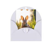 WZYCWB Rabbit in the grass Blank Holiday Greeting Cards, Foldable 6 * 4 Inch Christmas, Thank You, Send Family, Birthday Note Cards with Envelopes