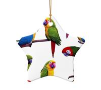 WZYCWB Rainforest Parrot patterned Star Shape ceramic pendant, perfect for decorating your home Christmas tree for winter parties