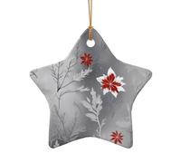 WZYCWB Scandinavian Frost patterned Star Shape ceramic pendant, perfect for decorating your home Christmas tree for winter parties