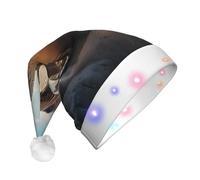 WZYCWB Sea lion on the rocks Adult New Year Christmas hat, with LED lights, unisex plush Christmas hat, New Year Christmas party gift