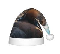 WZYCWB Sea lion on the rocks New Year Party Children's Hat, Christmas Event Stage Performance Holiday Party Scene Children's Fashion Christmas Hat
