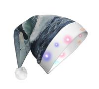 WZYCWB Seagulls flying low Printed Santa hat with LED lights, perfect for Christmas parties, stage performances, and holiday parties.