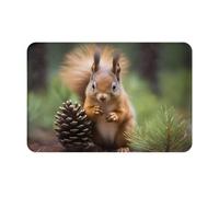WZYCWB Squirrel holding a pinecone Patterned indoor doormat 16 * 24 inches suitable for front door, back door, patio and bathroom, etc.