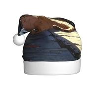 WZYCWB Stray cat in the alley Patterned Santa hat, festive New Year's decorative hat, suitable for adults and children at Christmas parties.