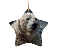 WZYCWB Technological polar bear patterned Star Shape ceramic pendant, perfect for decorating your home Christmas tree for winter parties