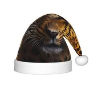 WZYCWB The deep-eyed leopard Patterned Christmas Party Hat, Children's Class Activity Gift, Christmas Holiday Decoration Prop