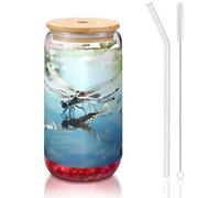 WZYCWB The dragonfly flies low. 16OZ bamboo lid straw glass cup Iced coffee mugs cute iced tea mugs beer mugs ideal for coffee bar accessories aesthetic gifts