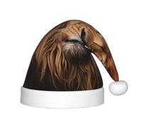 WZYCWB The Lion's Gaze Patterns Kids' Christmas Party Hats, Soft and Comfortable, Gentle on Skin, Kindergarten Class Party Gifts