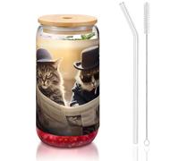 WZYCWB The two cool cats. 16OZ bamboo lid straw glass cup Iced coffee mugs cute iced tea mugs beer mugs ideal for coffee bar accessories aesthetic gifts
