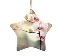 WZYCWB This Star Shape ceramic Christmas tree An orchid. printed with a pattern is perfect for winter Christmas party and home decor.