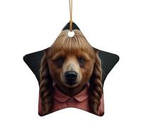 WZYCWB This Star Shape ceramic Christmas tree Bear with pigtails printed with a pattern is perfect for winter Christmas party and home decor.
