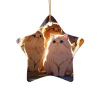 WZYCWB This Star Shape ceramic Christmas tree Beautiful kitten printed with a pattern is perfect for winter Christmas party and home decor.