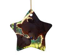 WZYCWB This Star Shape ceramic Christmas tree Big Brown Bear printed with a pattern is perfect for winter Christmas party and home decor.