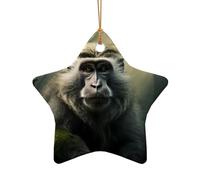 WZYCWB This Star Shape ceramic Christmas tree big monkey printed with a pattern is perfect for winter Christmas party and home decor.