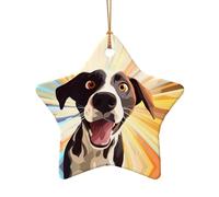 WZYCWB This Star Shape ceramic Christmas tree Cartoon Rainbow Dog printed with a pattern is perfect for winter Christmas party and home decor.
