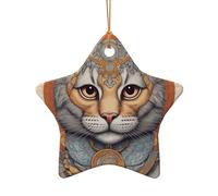 WZYCWB This Star Shape ceramic Christmas tree Cat's Eye printed with a pattern is perfect for winter Christmas party and home decor.
