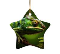 WZYCWB This Star Shape ceramic Christmas tree chameleon printed with a pattern is perfect for winter Christmas party and home decor.