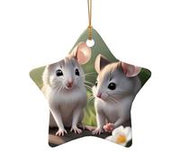 WZYCWB This Star Shape ceramic Christmas tree Cute animals printed with a pattern is perfect for winter Christmas party and home decor.
