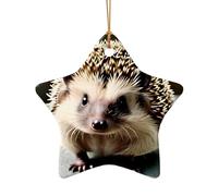 WZYCWB This Star Shape ceramic Christmas tree Cute hedgehog printed with a pattern is perfect for winter Christmas party and home decor.