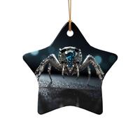 WZYCWB This Star Shape ceramic Christmas tree Diamond Spider printed with a pattern is perfect for winter Christmas party and home decor.