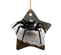 WZYCWB This Star Shape ceramic Christmas tree Gothic Spider printed with a pattern is perfect for winter Christmas party and home decor.